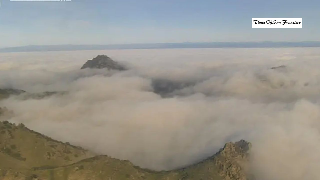 Dense Fog to Linger Across the Bay Area — Here’s What You Need to Know