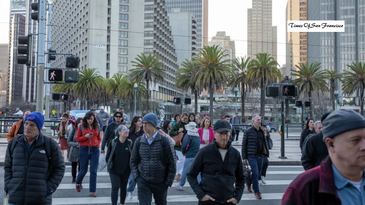 Why It’s Been So Cold in the San Francisco Bay Area and How Long It Will Last